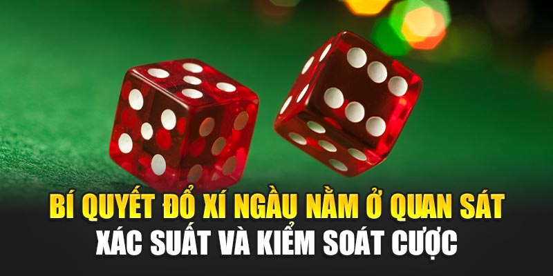 Bí quyết đổ xí ngầu nằm ở quan sát xác suất và kiểm soát cược