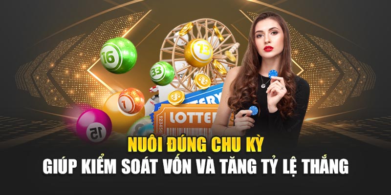 Nuôi đúng chu kỳ giúp kiểm soát vốn và tăng tỷ lệ thắng